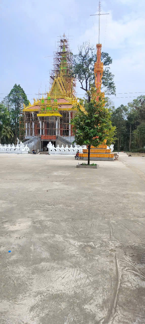 Sơn Nước Nhũ Vàng Ấn Độ Super Gold